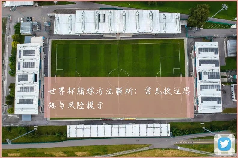 世界杯赌球方法解析:常见投注思路与风险提示
