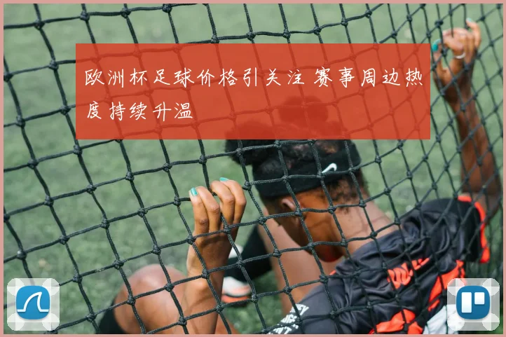 欧洲杯足球价格引关注 赛事周边热度持续升温